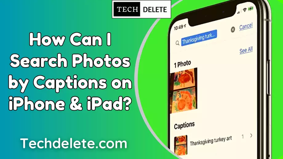 Search Photos by Captions